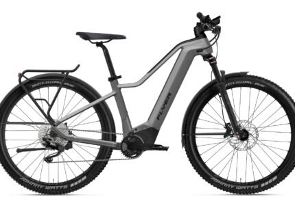 Flyer Goroc2 2.10 - 750 Wh - 2022 - 29 Zoll - Diamant