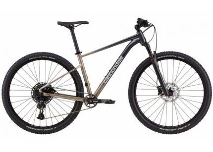 HALBSTARRES MOUNTAINBIKE CANNONDALE TRAIL SL 1 SRAM NXSX EAGLE 12V 29'' GRAU METEOR BEIGE